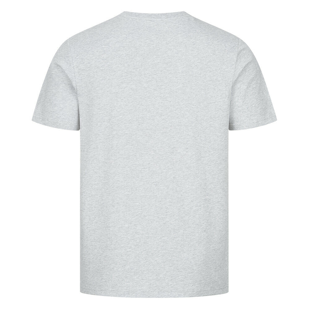 Graues shirt von hinten ohne aufdruck.